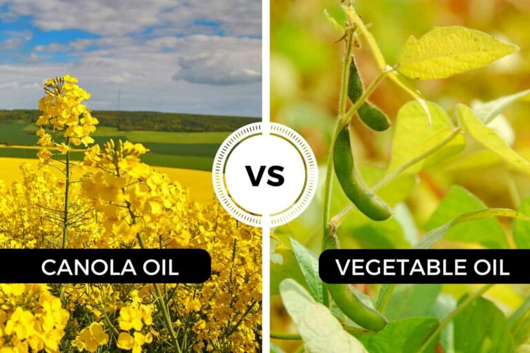 Canola Vs Vegetable Oil: Which Is Healthier